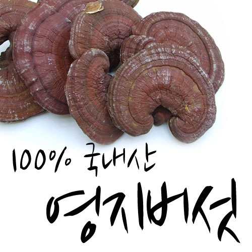 영지버섯(특) 자연산 500g 제품사진