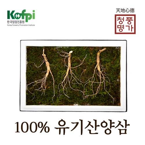 산양삼( 3뿌리 / 10년근) 제품사진