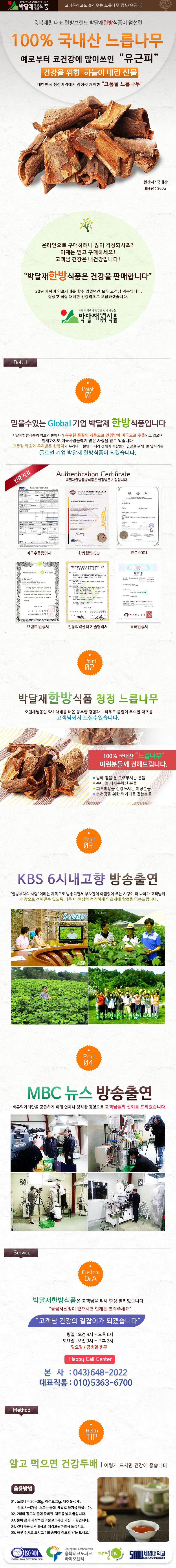 느릅나무.jpg