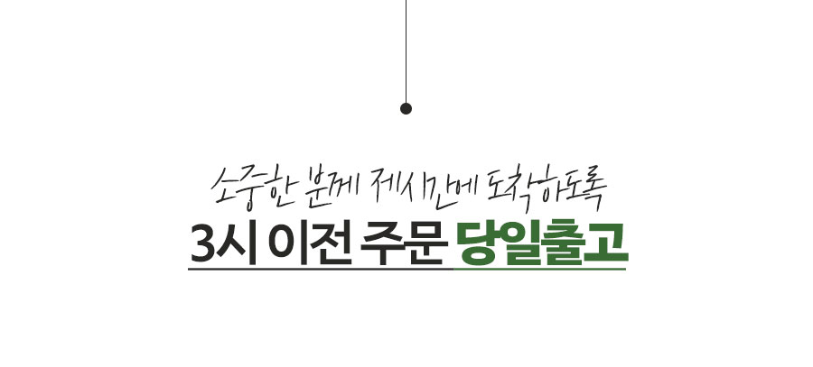 부모님패키지4종_01.jpg