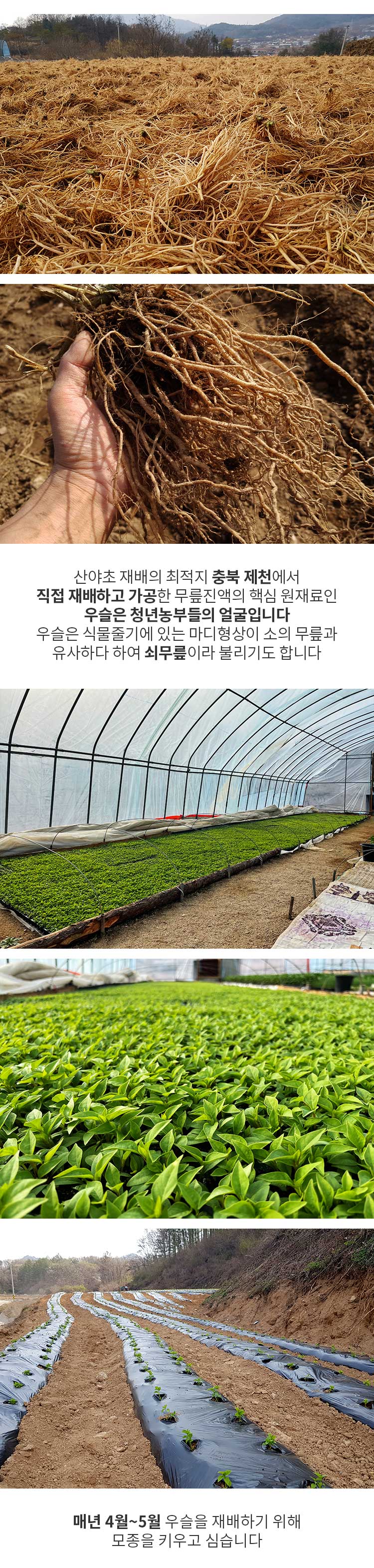 03 무릎_15포_02.jpg