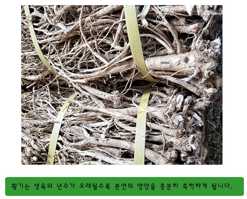 5년황기_home_3.jpg