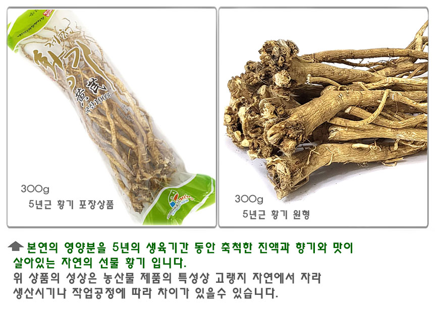 5년황기_home_5.jpg