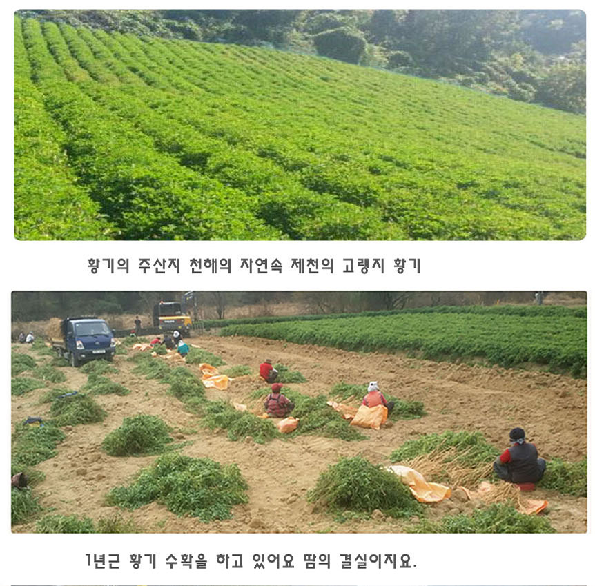 5년황기_home_9.jpg